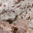 Landscape & Nature Crystal