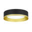 Matte Black and Brass Drum LED Flush Mount with Frosted Glass Shade 