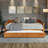 Anayelli Solid Wood Classic Daybed with Trundle-1531215804