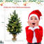60cm H Lighted Artificial Fir Christmas Tree
