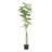 63" ARTIFICIAL PACHIRA MACROCARPA