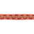 Corail