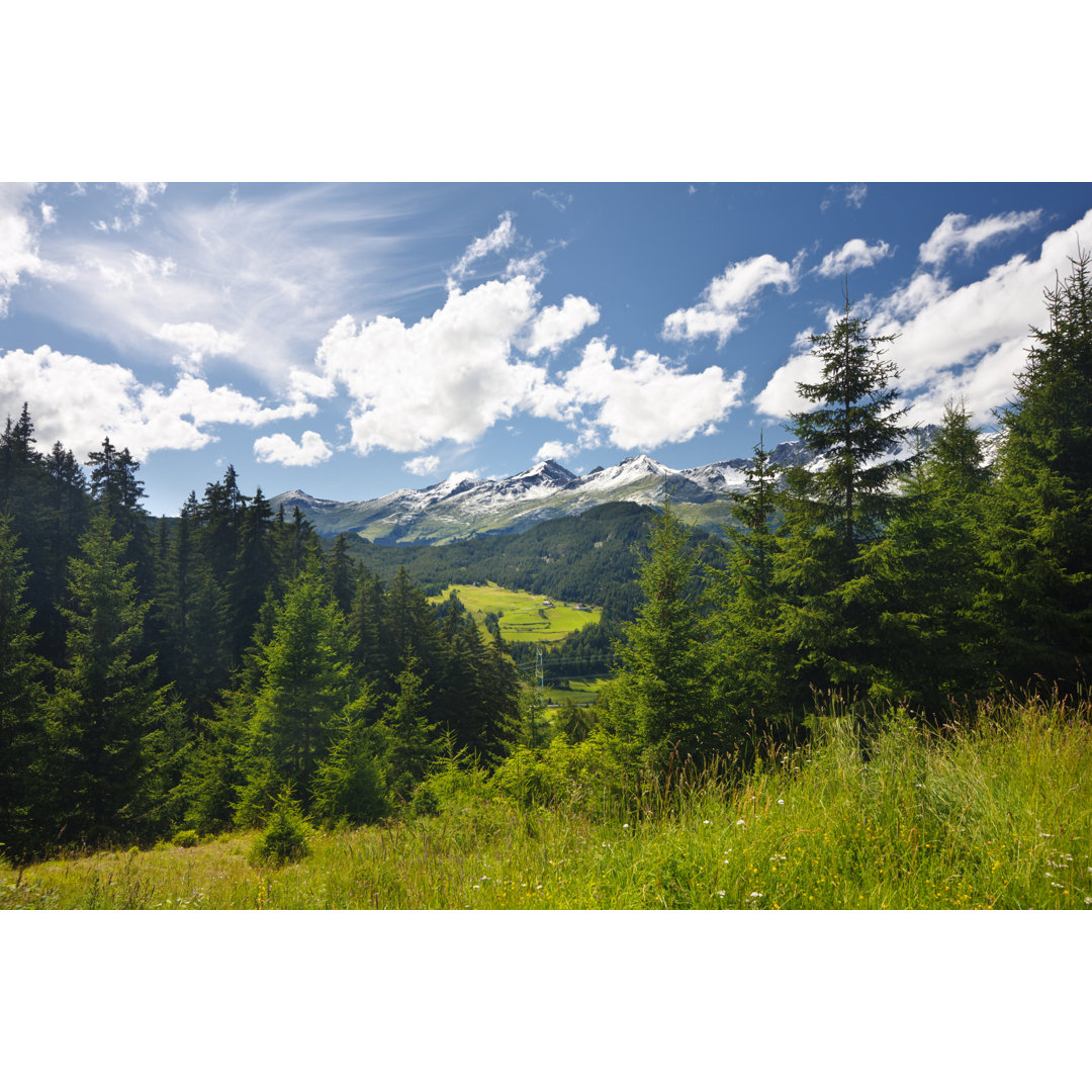 Schönes Bergtal im Sommer von MichaelUtech - Drucken