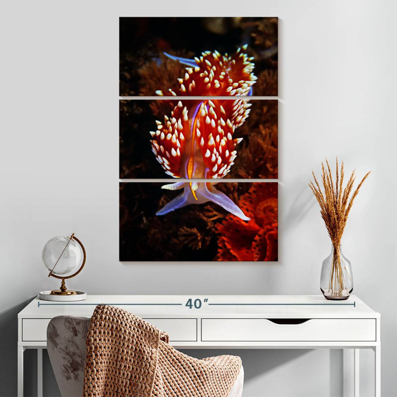 Nudibranche exotique Brampt, H 32 po x l 20 po