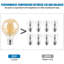 1-Pack 6W Globe Shaped LED Light Bulb