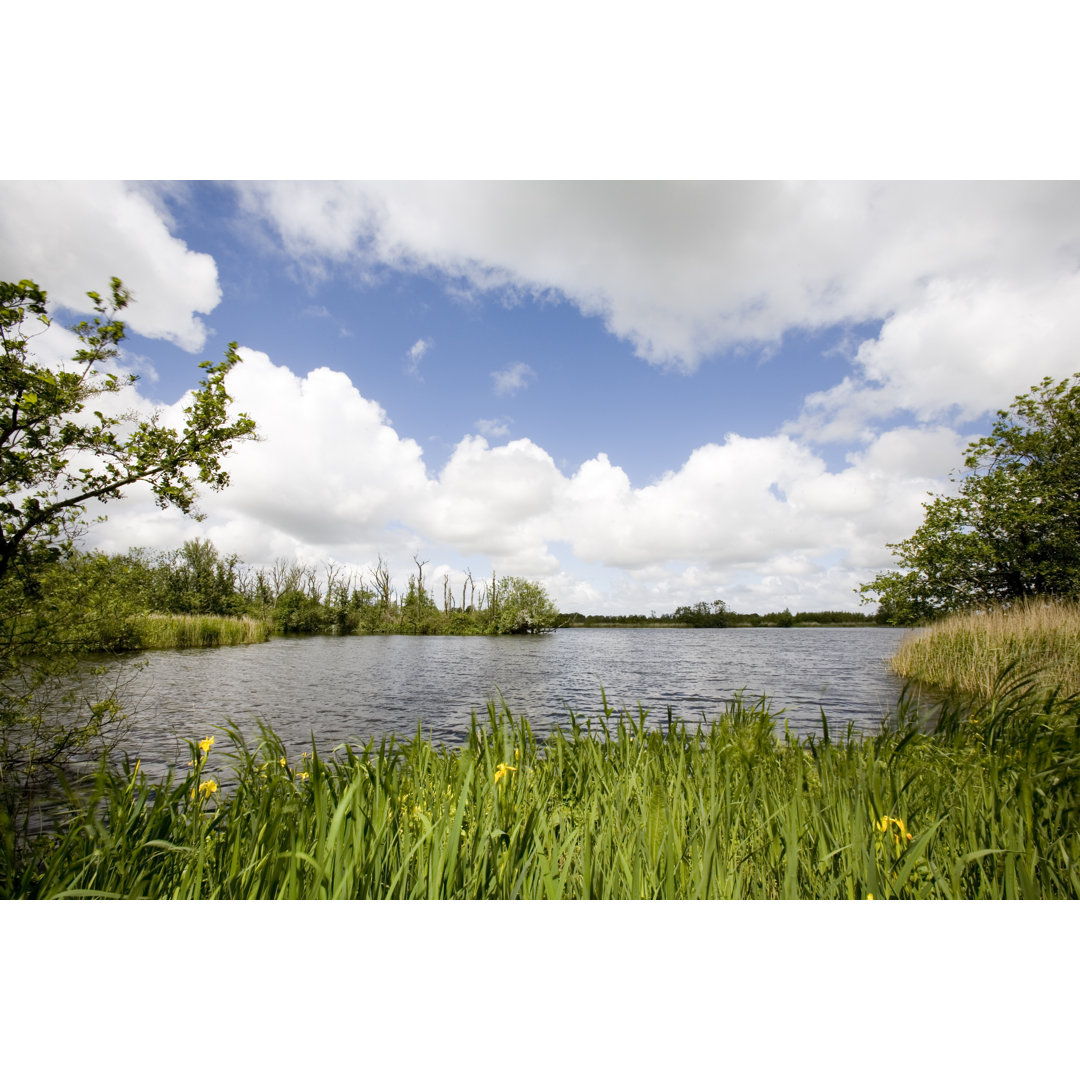 Dutch Lakeside von Track5 - Kunstdrucke auf Leinwand ohne Rahmen