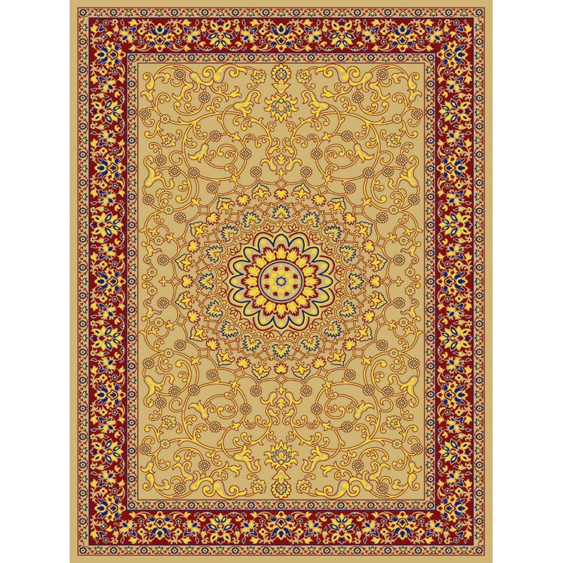 Amylea Oriental Area Rug, Rectangle 200 x 290cm