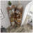 6 Tier Freestanding L-Shaped Corner Bookshelf For Living Room And Bedroom, Wooden Organizer With Anti-Drop Panels And Anti-Tipping Device, Open Storage Rack For Home Office-724448496