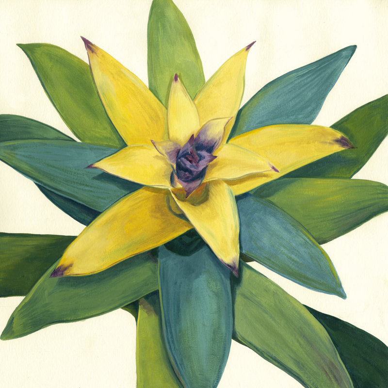 «Tropical Bloom I», peinture sur toile, H 12 po x l 12 po