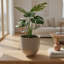 Planter-540630491