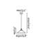 Quahog 1 - Light Cone Pendant-9920343