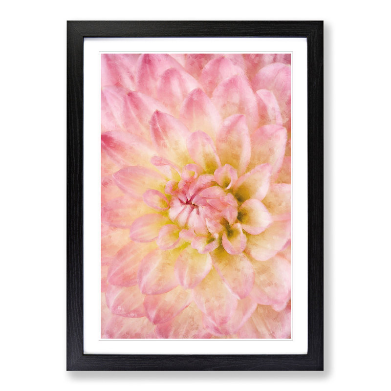 Pink Dahlia Flower Abstract - Single Picture Frame Print on MDF, Black Framed, 33cm H x 24cm W x 2cm D