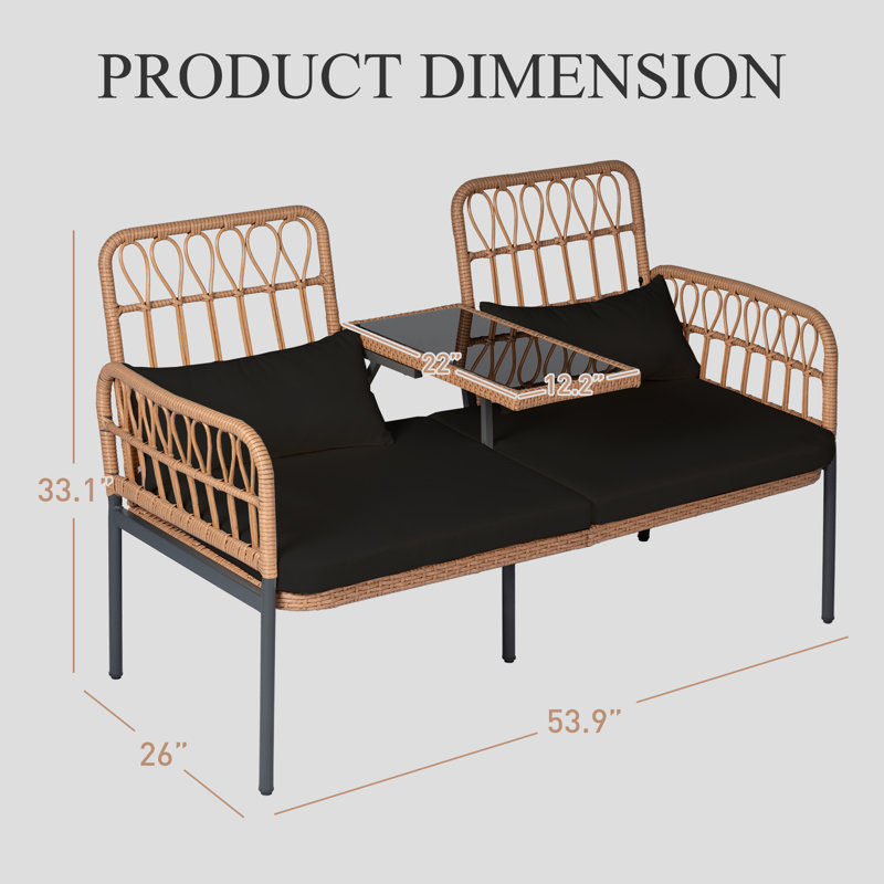 Lotis 53.9'' Wide Straight Powder Coated Steel Loveseat with Cushions, Black