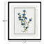 Colombe Soft Botanical I - Art encadré avec fond perdu-72514525-72514529