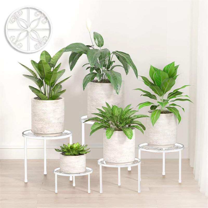 Raequel Plant Stand