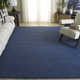 Elle Handwoven Wool/Cotton Area Rug in Navy / Blue