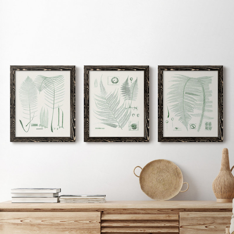 Verdure Ferns VII - ensemble de 3 peintures sur toile encadrées, Toile avec cadre noir, H 20 po x l 51 po x P 1,5 po