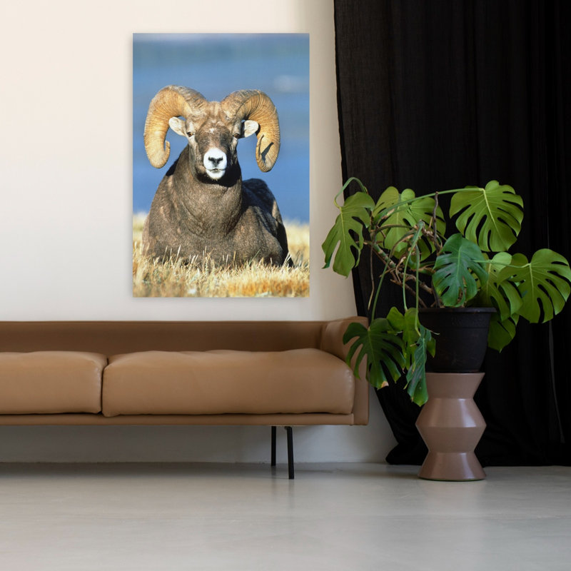 Big Horn Ram Classic Retro Vintage Animal Nature Wall Art, H 48 po x l 32 po