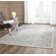 Spragueville Oriental Viscose Hand Woven Area Rug