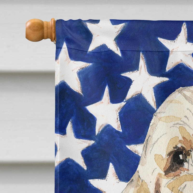 Drapeau de maison en polyester à 2 côtés Shahnur, Spinone