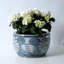 Suilmann Ceramic Planter
