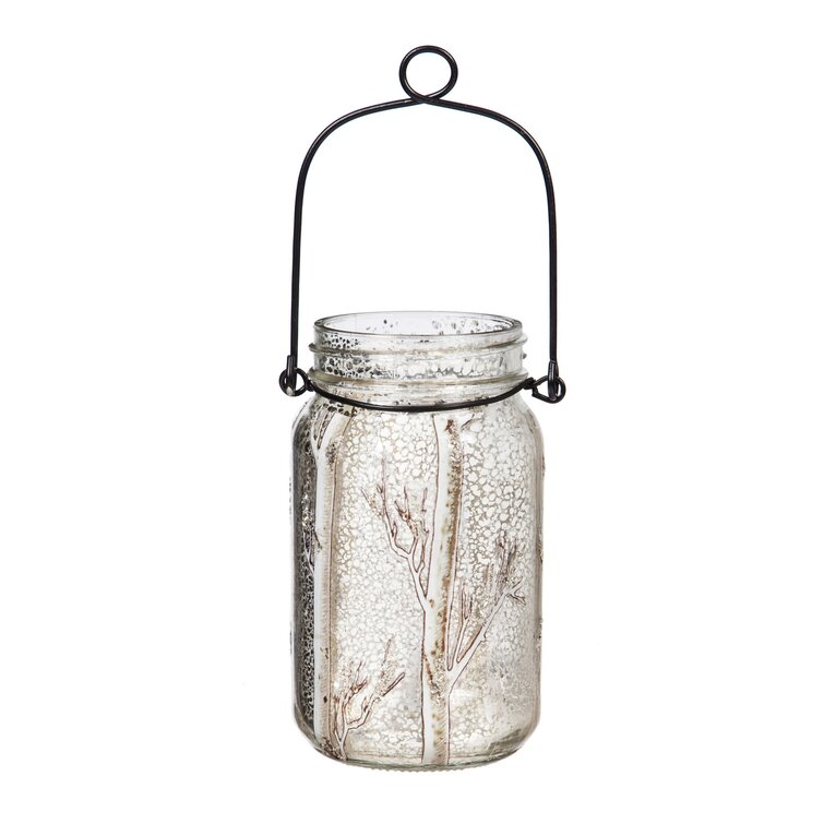 Wayfair  Mason Jars