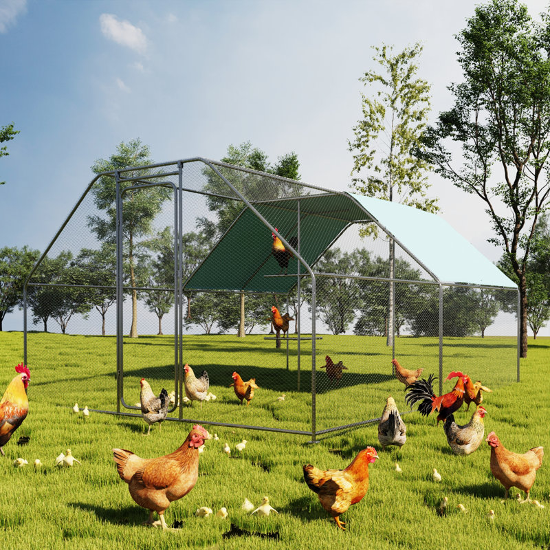 Chicken Run Coop with Waterproof Cover for Up to 15-20 Chickens, 78.74" H x 118.11" W x 118.11" D