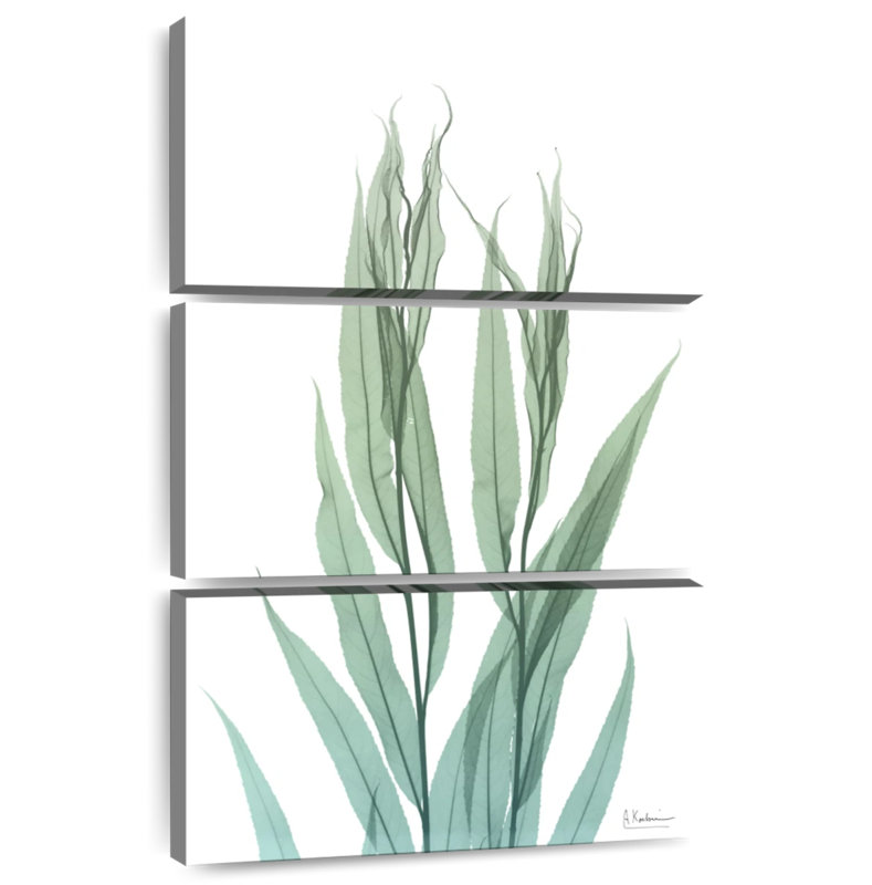 Feuille de bambou Harnek Radiant II, H 50 po x l 32 po