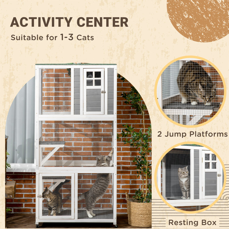 Abri pour chat extérieur en bois de 74 po et à roulettes, capacité de poids élevée pour les grands félins, gros chats gris