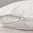 Cami 64" Upholstered Loveseat-55503701