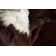 Barnes Performance Cowhide Animal Print Indoor Rug