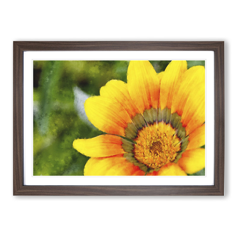 Bright Yellow Flower - Framed Print, 48cm H x 65cm W x 2cm D, Walnut