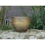 Colin Planter-159122913-159122912