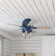 44" Hartland 5 - Blade Standard Ceiling Fan with Pull Chain and Light Kit Included