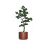 Bonsai artificiel 60 po 60 po