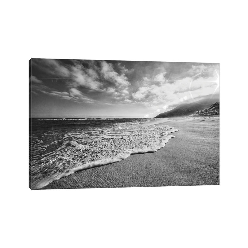 Sympathy of Existence Black & White 1 Piece Wrapped Canvas Wall Art, 101.6 cm H x 66.04 cm W x 1.91 cm D