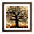 Walnut selected