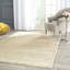 Lavonia Hand Knotted Beige Area Rug-930120115