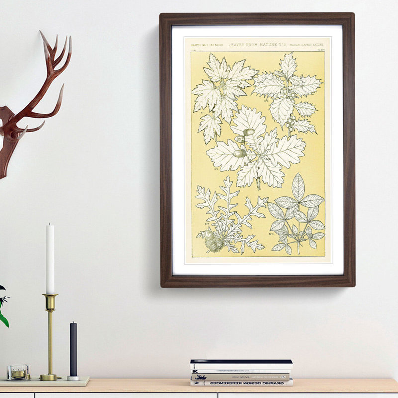 Leaves from Nature No. 5 by Owen Jones - Picture Frame Painting Print, 36cm H x 27cm W x 2cm D, Walnut Framed