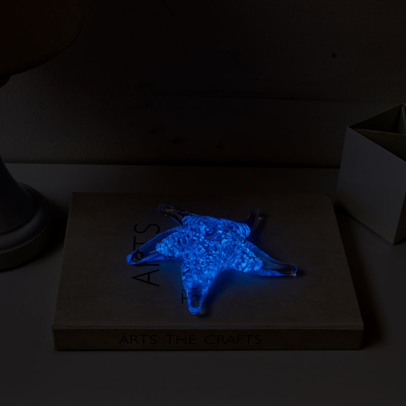 Sculpture nautique décorative Ashayra Glow-In-The-Dark