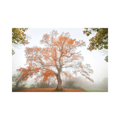 The Red Oak 1 Piece Wrapped Canvas Wall Art