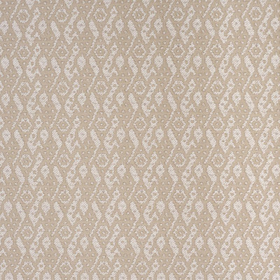 Tazzie Performance Fabric