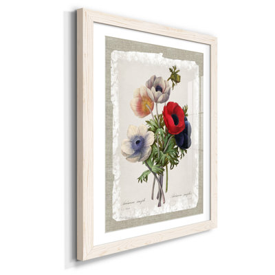 Botanical Bouquet Anemone - Reproduction d'art graphique sur papier encadré
