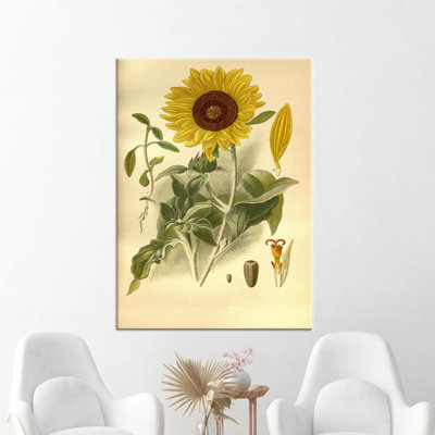 Print on Canvas