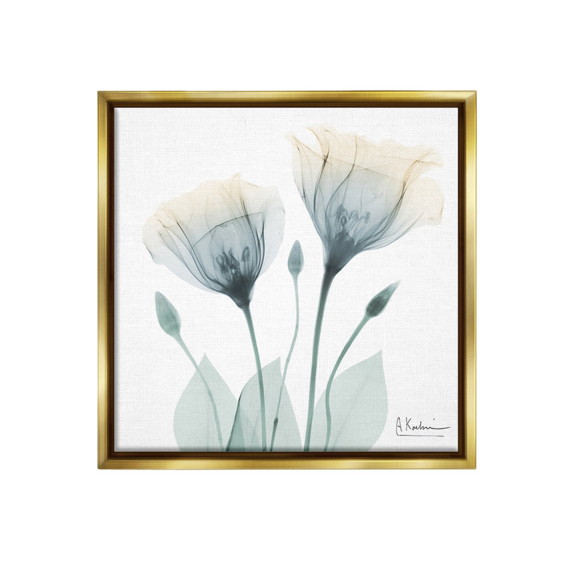 "Opaque Tulip Duo Floater Frame" par Albert Koetsier sur, Cadre flottant métallique doré, H 18 po x l 18 po