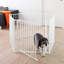 Dog Cage-88618390