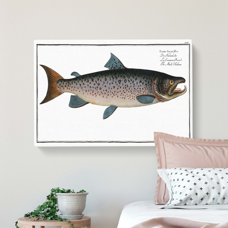 Male Salmon Fish by M.E. Bloch - Wrapped Canvas, 61 cm H x 91.4 cm W