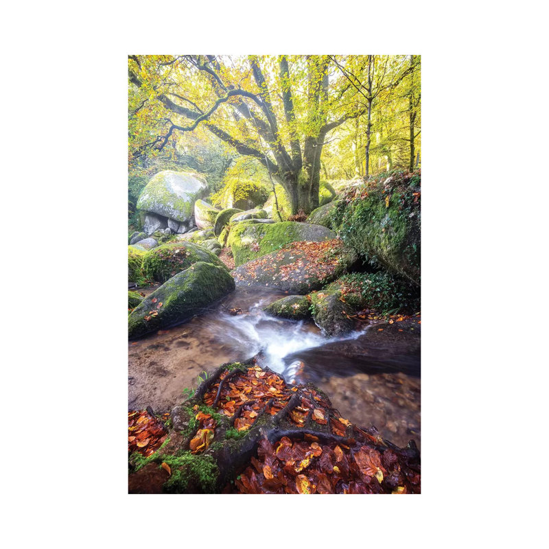 Huelgoat Magic Forest par Philippe Manguin - Estampe numérique sur toile tendue avec châssis, H 40 po x l 26 po x P 1,5 po