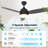 Demy 48'' Ceiling Fan with LED Lights and Remote Control 3-Blades