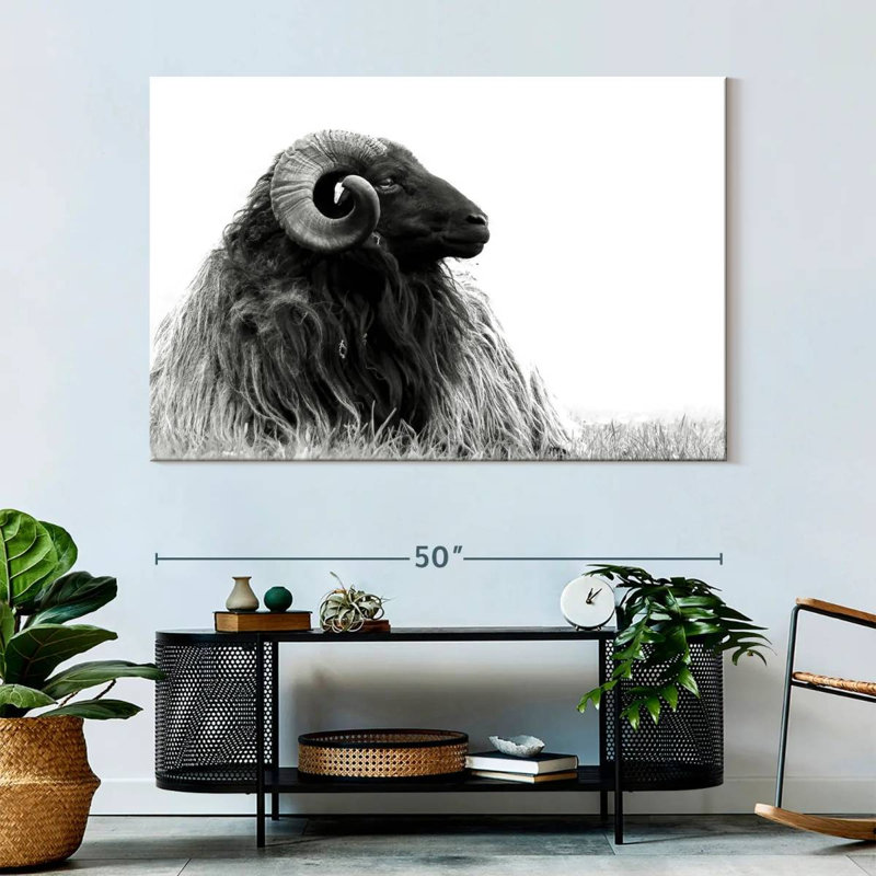 Brampt Bighorn Ram, 34" H x 51" W